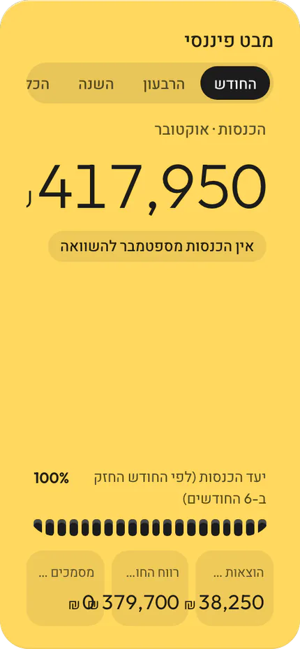 מבט פיננסי: הכנסות החודש, יעד ההכנסה והוצאות