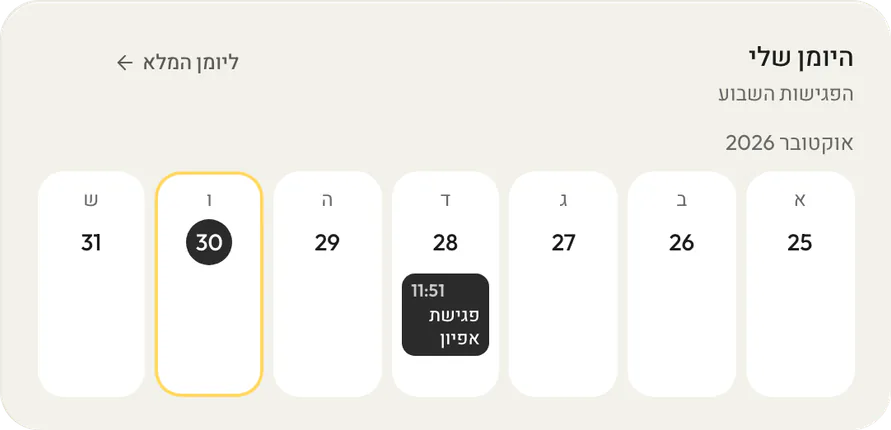 יומן ופגישות: מסך מהמערכת