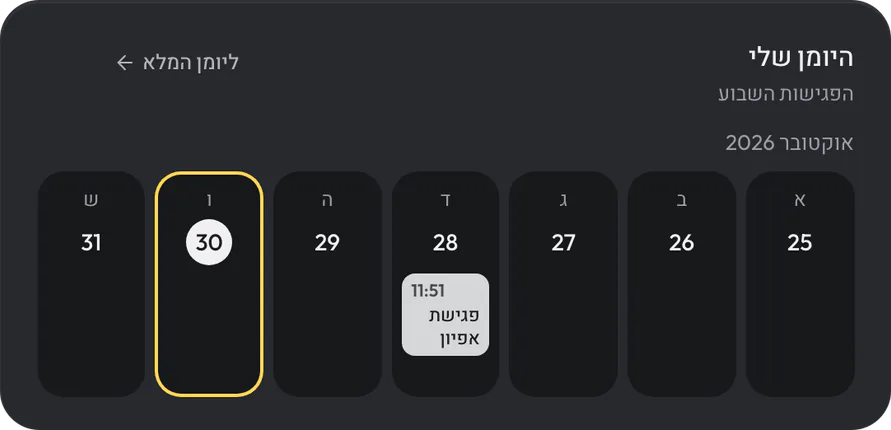 יומן ופגישות: מסך מהמערכת